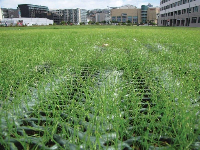 2m x 30m Strong Grass Turf Protection Reinforcement Mesh Mat Car Park Lawn A - Slip Not Co Uk